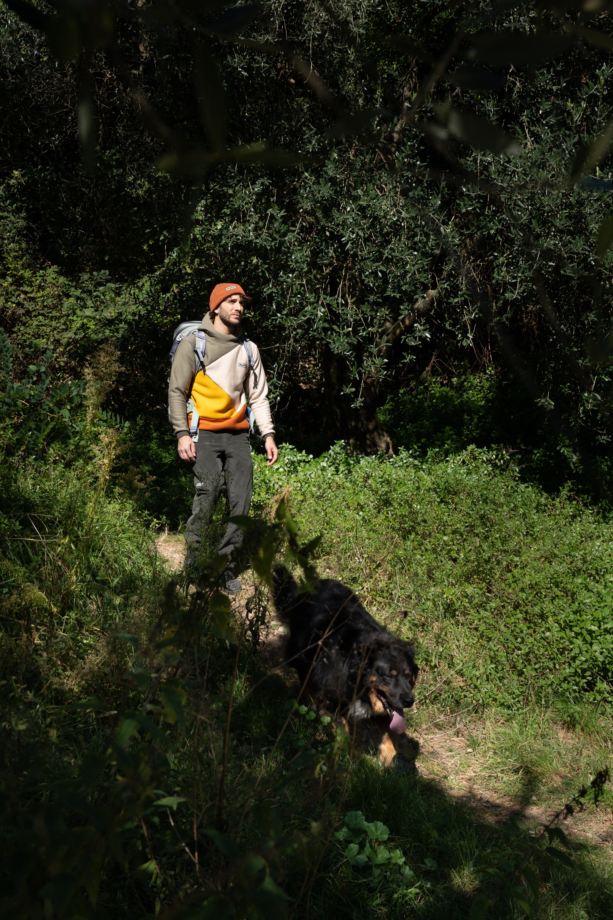 Pantalon en velours himalayen pour homme, vert pin 2025