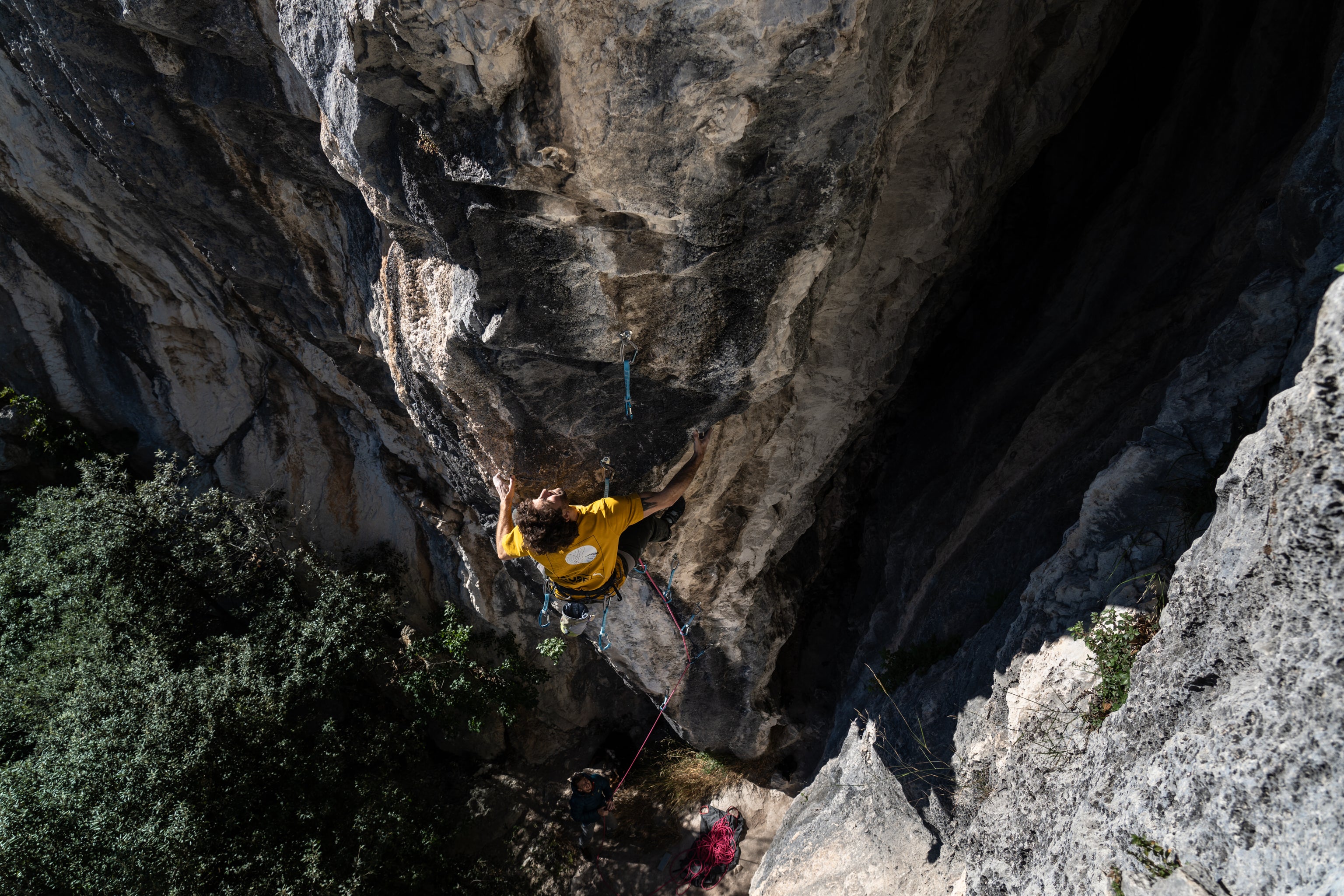 T-Shirt en coton Homme - Moutarde | Rupe
