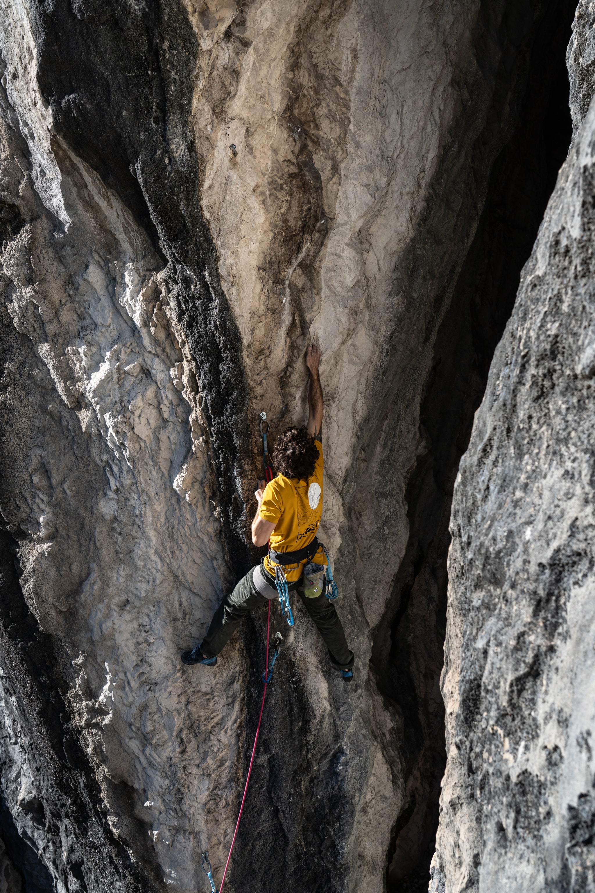 T-Shirt en coton Homme - Moutarde | Rupe